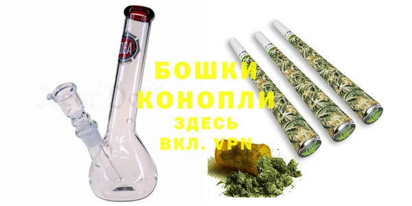 дживик Верхний Тагил