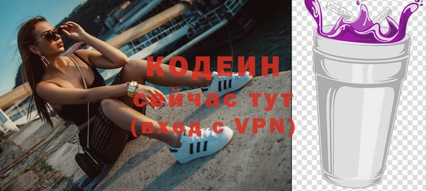 дживик Верхний Тагил