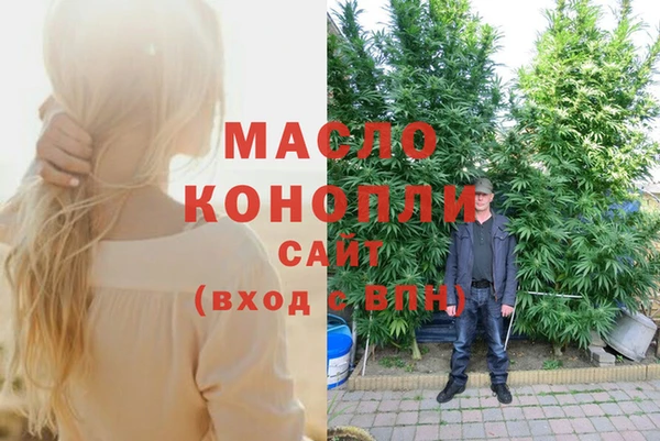 дживик Верхний Тагил