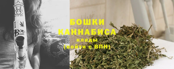 гидра Володарск