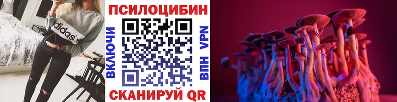 Псилоцибиновые грибы Psilocybe  наркота  Данилов 